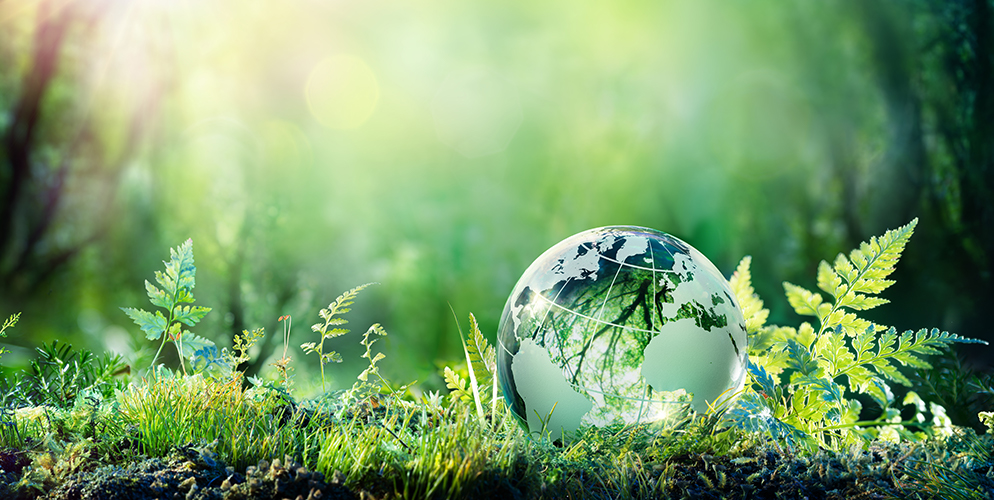 paperweight of a globe in the grass