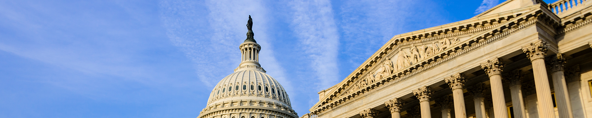 U.S. Capitol