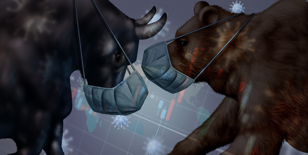 bull vs bear market