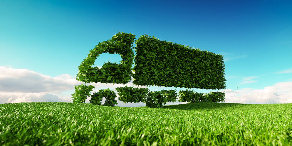 shape of truck in shrubbery