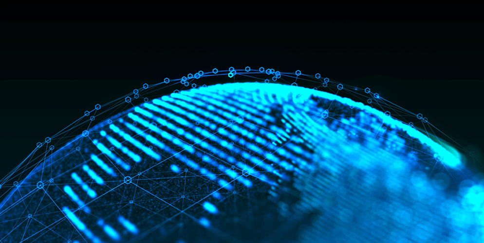 Outlook and Perspective on the Broadening Market