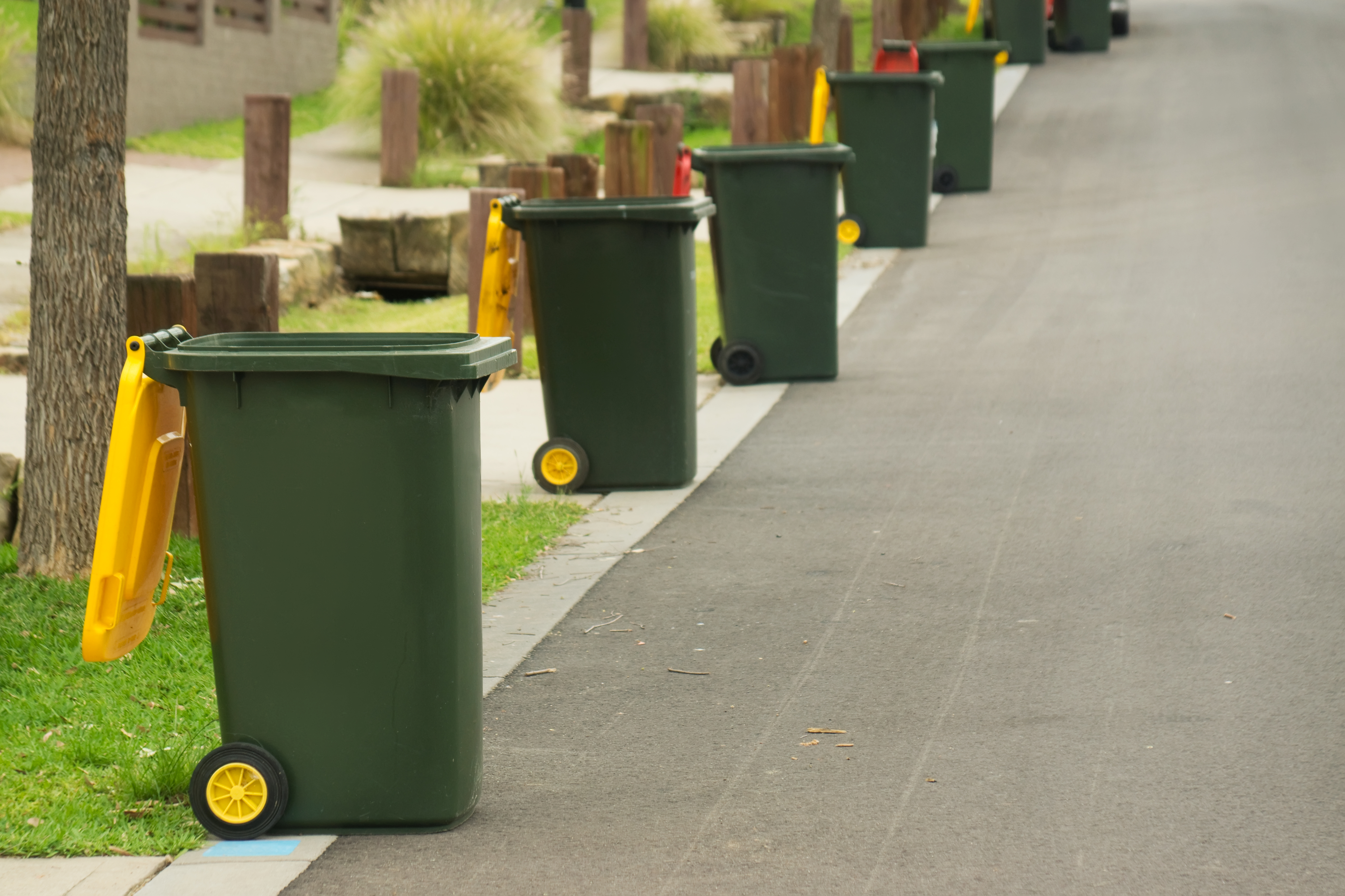 waste, trash can, road, grass, lid