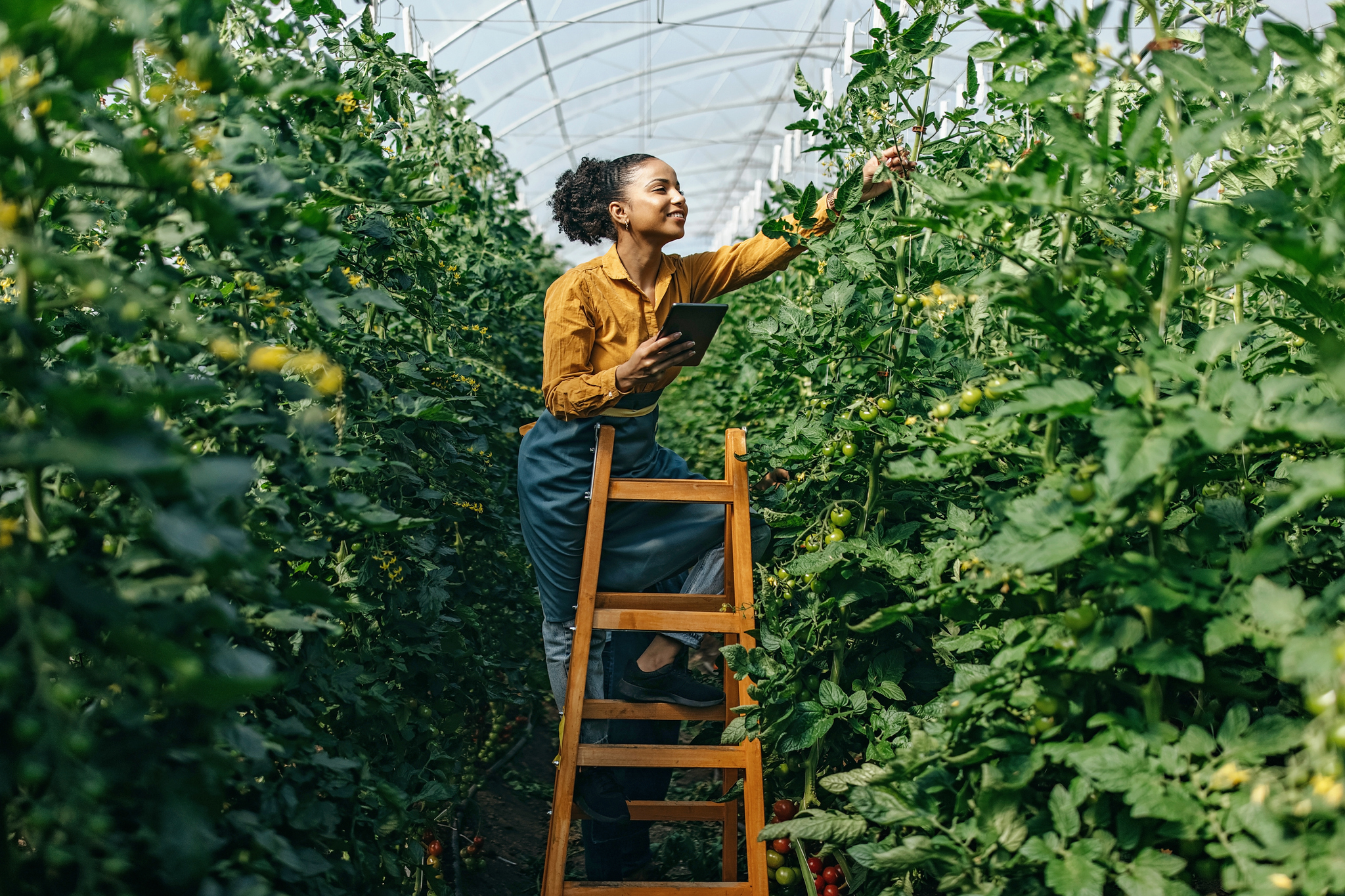 The Future of Feeding the Planet