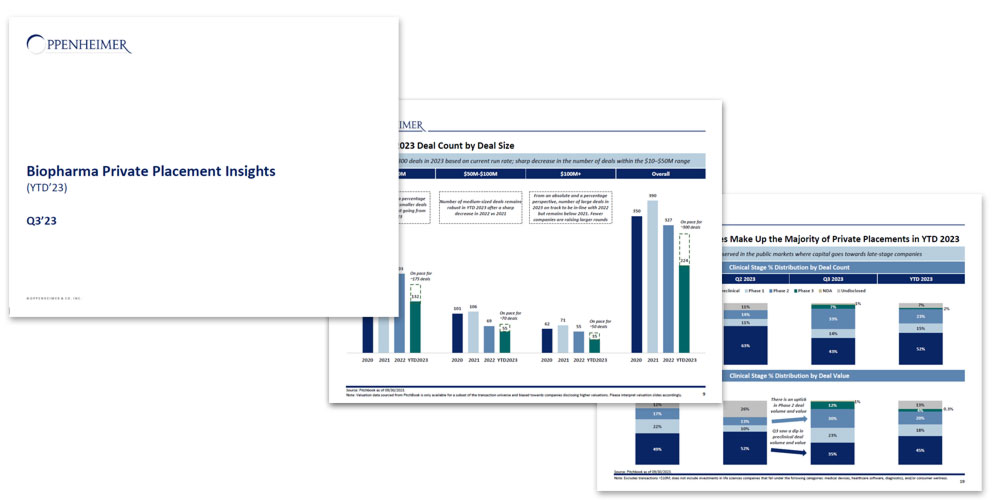 insights report