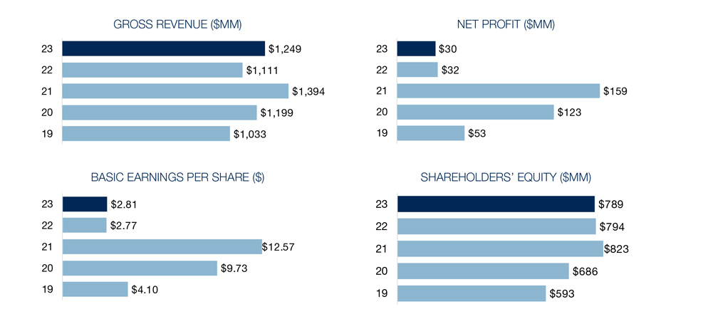 financial highlights bar charts