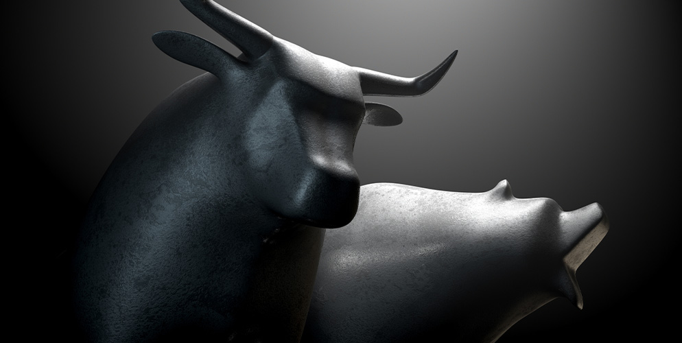 bull