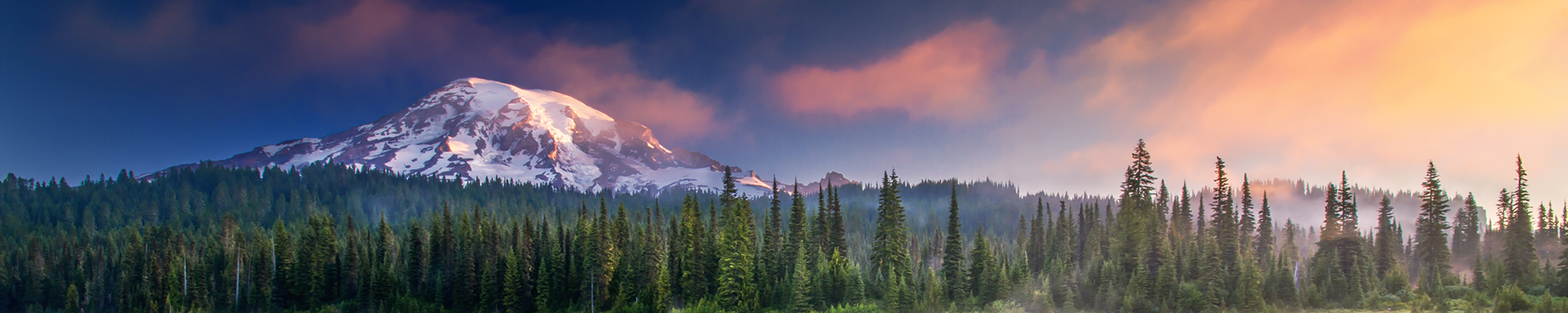 Bellevue WA landscape for SLK group
